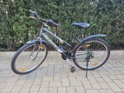 Rower górski Kellys Sphera 26