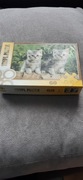 Puzzle kotki 60  