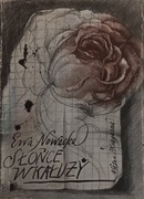 Słońce w kałuży Ewa Nowacka