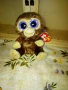 Zabawka z serii ty nowy z metką 