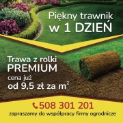 Trawa w rolce PREMIUM, trawa z rolki, rolka trawy, trawnik, Trawnik Polski!