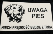 Tabliczka ostrzegawcza uwaga pies bandog amstaff