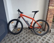 Rower Scott Roxter 600