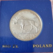 100 zł Łoś 1978 rok, srebro 625 ,mennicza 