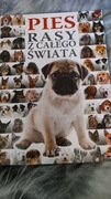 Książka pt. ,, Pies rasy z całego świata"