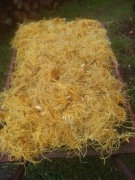 Belamcanda korzeń  krojony lub sproszkowany Polska