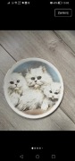 Ozdobny porcelanowy talerz w koty bone china szynszyle