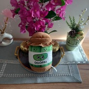 Gang biedroniaków maskotka 