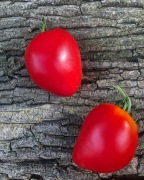 AMANA PINK Pomidor Kolekcjonerski 