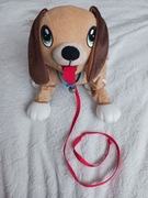 Boogie psi rozrabiaka Epee