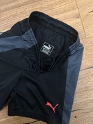 spodenki puma r.134