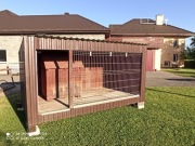 Kojec dla psa oraz ocieplana buda