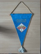 Proporczyk Aeroklub Warszawski K01842