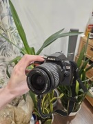 Nikon D60 | stan zadowalający | 31 159 zdjęć | w pełni sprawny