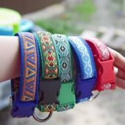 Obroża ta smycz dla psów