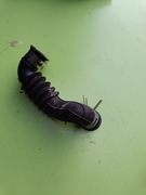 Wąż a Samsung Eco bubble 7kg wf70f5e0w2w dc67-00671a