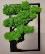 OBRAZ Z MCHU MECH CHROBOTEK ŻYWY DRZEWKO BONSAI NA ŚCIANE OZDOBA DEKORACJA