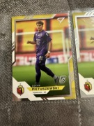 Pietuszewski sportzoo