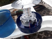 sygnalizator led kogut niebieski kennluchte NOVA-L TB1