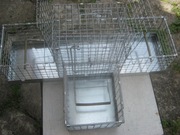 Żywołapka na ptaki hodowlane          