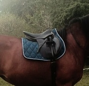 Czaprak fouganza cob full 