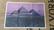Pink Floyd duży plakat Nick Mason autograf 76x51cm
