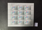 4299** Arkusz Mistrzostwa Kobiet w Piłce Siatkowej - 2009 r