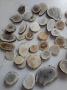 Talarki z poroża jelenia ozdoby chipsy psa breloki