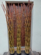 Drzewko wiklinowe wiklina pleciona 