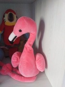 Gadająca papuga i Fleming 