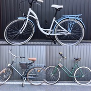 Rower Gazelle łucznik alice