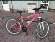 Rower damski Kross Hexagon F2 