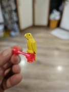 LEGO Piraci 6274 Papuga żółta 2546