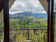 Swarovski -kolekcja 90 figurek zwierząt i dodatków + oryginalna witrynka