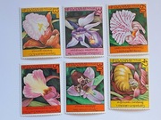 (773) Bułgaria storczyki, znaczki czyste