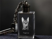 Toyger Cat brelok sześcienny Świecący