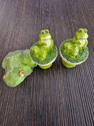 Świeczki żaby komplet 3 szt