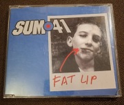 SUM 41 - Fat Lip (Singiel) 