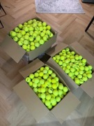 Używane piłki do padla w bardzo dobrym stanie - Idealne do treningów
