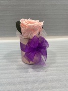 Mini Flower Box róża stabilizowana/wieczna