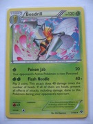 Beedrill - XY 5/146 - Rare