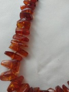 Bursztyn Sopot  korale