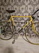 rower szosowy Romet Riviera Sport Rozmiar M