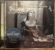 Robbie Robertson Music for native Americans