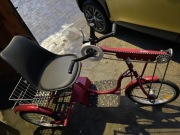 Rower trójkołowy TOLEK 20 cali 1-biegowy / ręczny