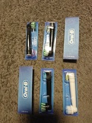 Koncowki oral b 6 sztuk