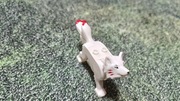 Lego Ninjago Wilk Akita
