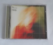 The Walkabouts - Ended Up a Stranger