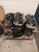 Silniki Reno master 2.3 bo turbo 2022/23