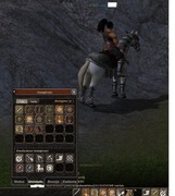 Metin2009 Woj Body 61lv czysty